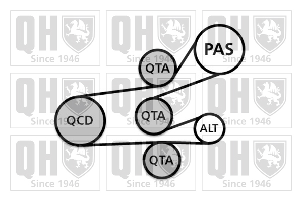 Kit de courroies d'accessoires QUINTON HAZELL QDK26