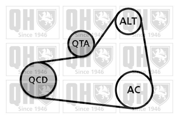 Kit de courroies d'accessoires QUINTON HAZELL QDK99