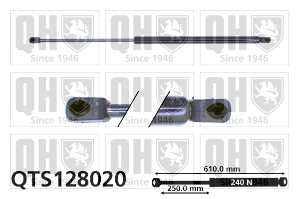 Vérin de hayon de coffre QUINTON HAZELL QTS128020