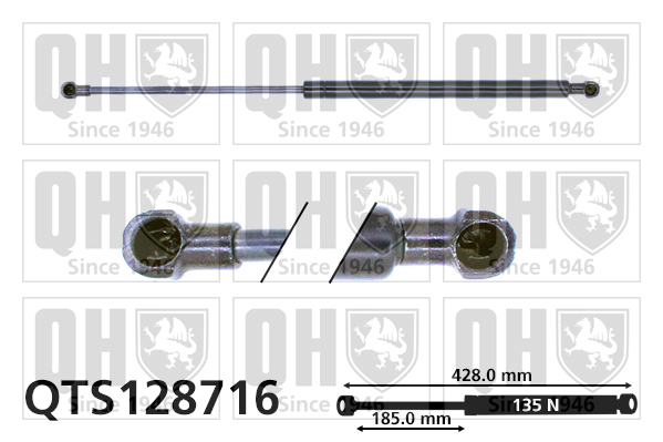 Vérin de vitre arrière QUINTON HAZELL QTS128716