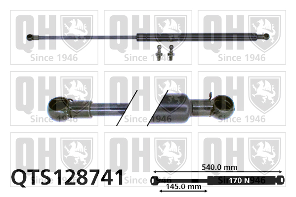 Vérin de vitre arrière QUINTON HAZELL QTS128741