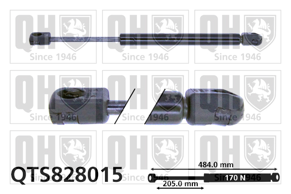 Vérin de capot QUINTON HAZELL QTS828015