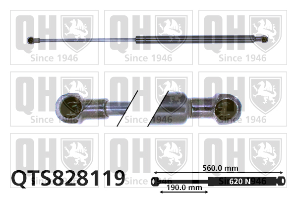 Vérin de hayon de coffre QUINTON HAZELL QTS828119