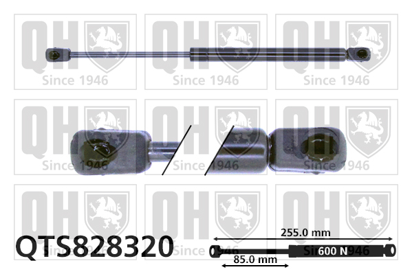 Vérin de hayon de coffre QUINTON HAZELL QTS828320