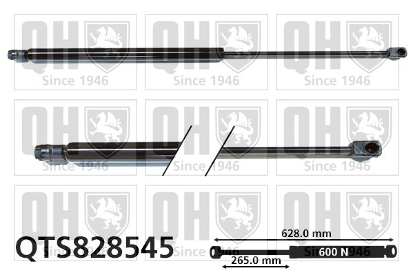 Vérin de hayon de coffre QUINTON HAZELL QTS828545