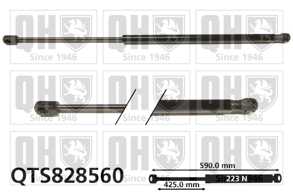 Vérin de hayon de coffre QUINTON HAZELL QTS828560