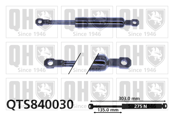 Vérin de hayon de coffre QUINTON HAZELL QTS840030