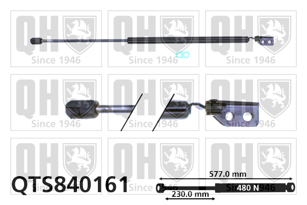 Vérin de hayon de coffre QUINTON HAZELL QTS840161