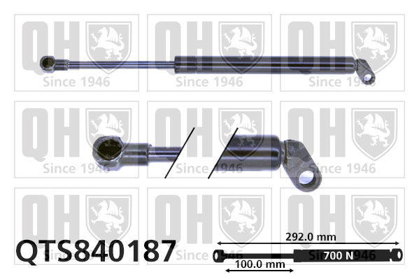 Vérin de hayon de coffre QUINTON HAZELL QTS840187