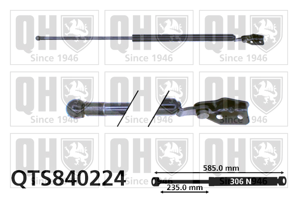 Vérin de hayon de coffre QUINTON HAZELL QTS840224