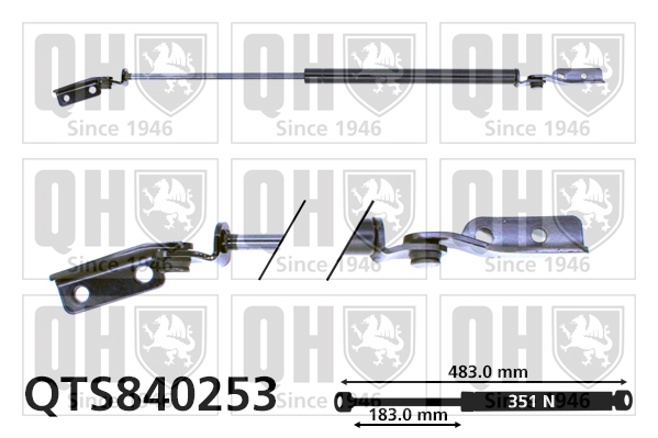 Vérin de hayon de coffre QUINTON HAZELL QTS840253