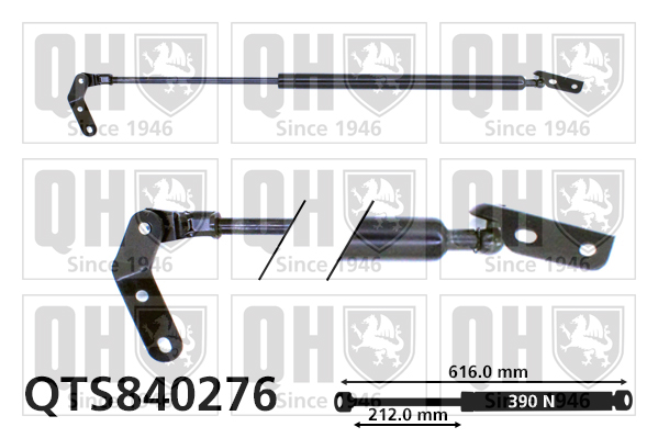 Vérin de hayon de coffre QUINTON HAZELL QTS840276